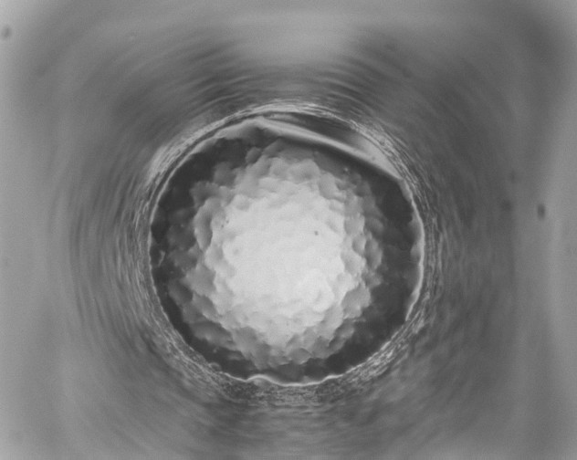 X0000059830337200510241426