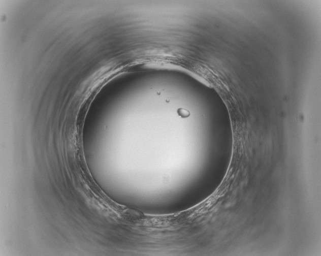 X0000059830338200510241426