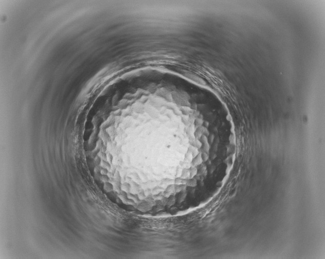 X0000059830339200510241426