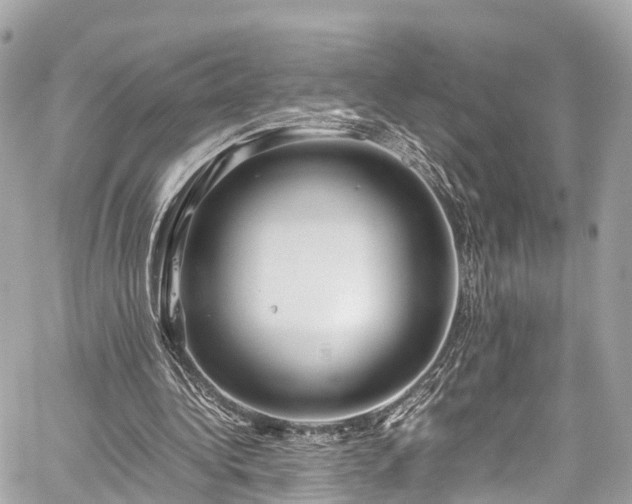 X0000059830340200510241426