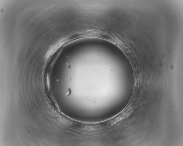 X0000059830341200510241426