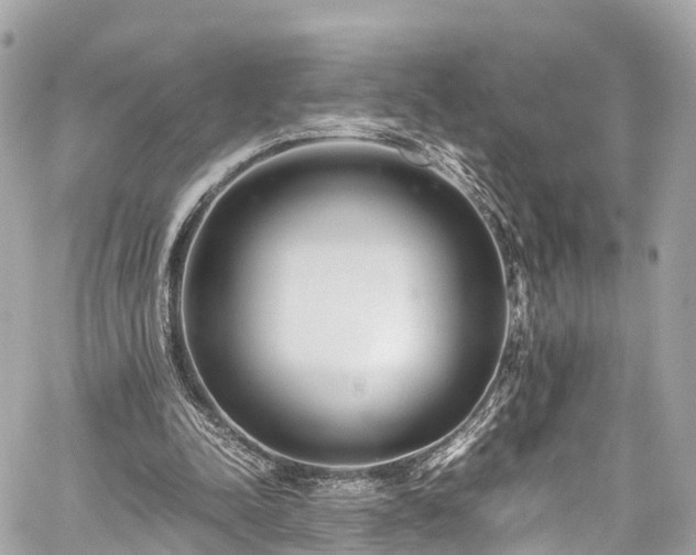 X0000059830342200510241426