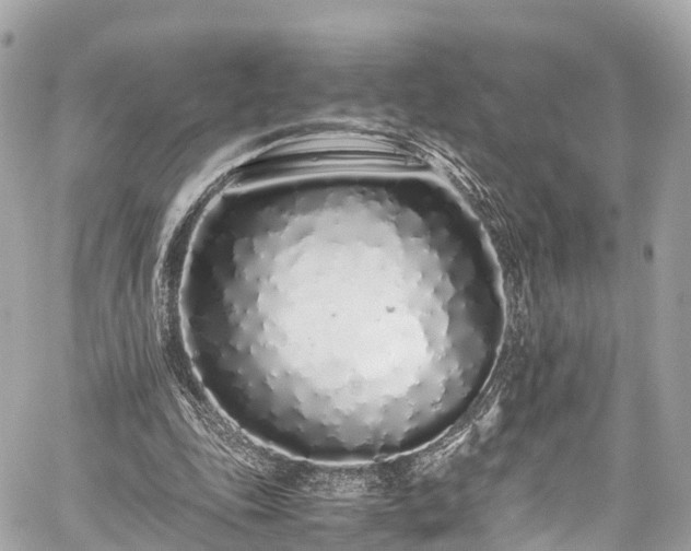 X0000059830343200510241426