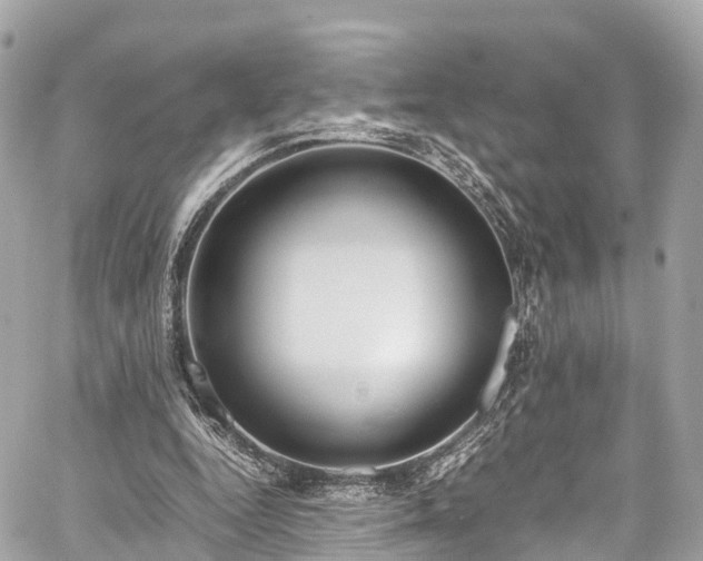 X0000059830344200510241427