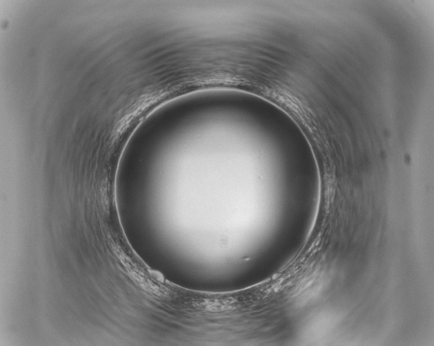 X0000059830345200510241427