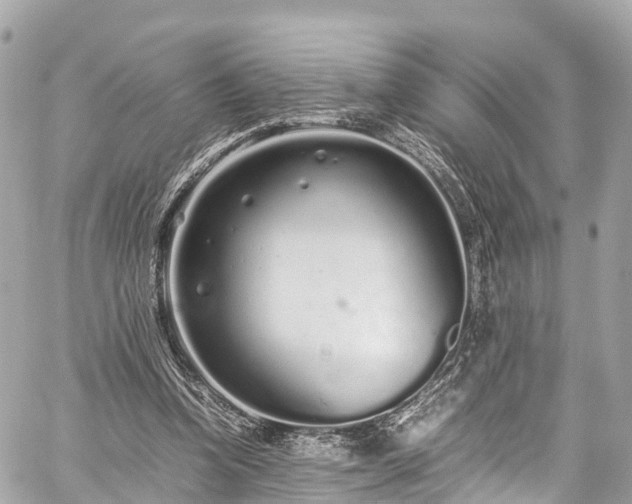 X0000059830346200510241427