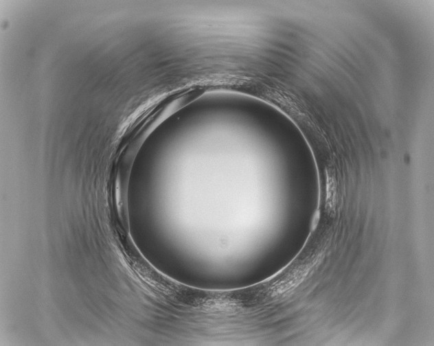 X0000059830348200510241427