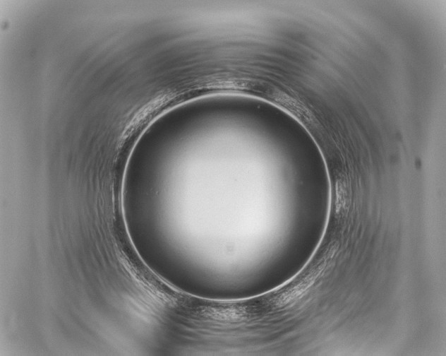 X0000059830349200510241427