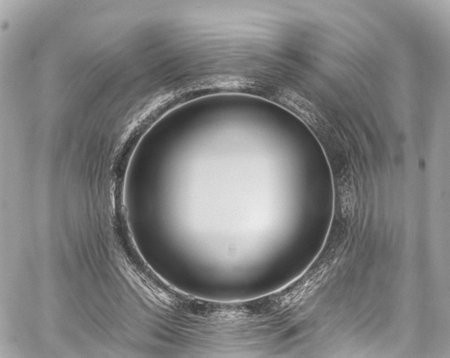 X0000059830350200510241427