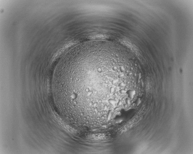 X0000059830353200510241427