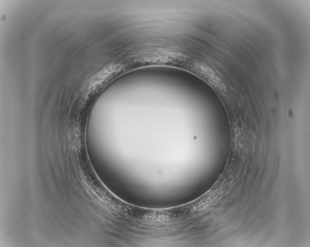 X0000059830354200510241427