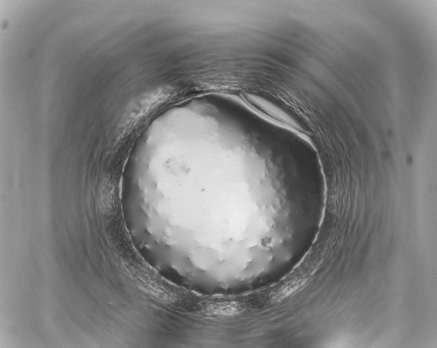 X0000059830355200510241427