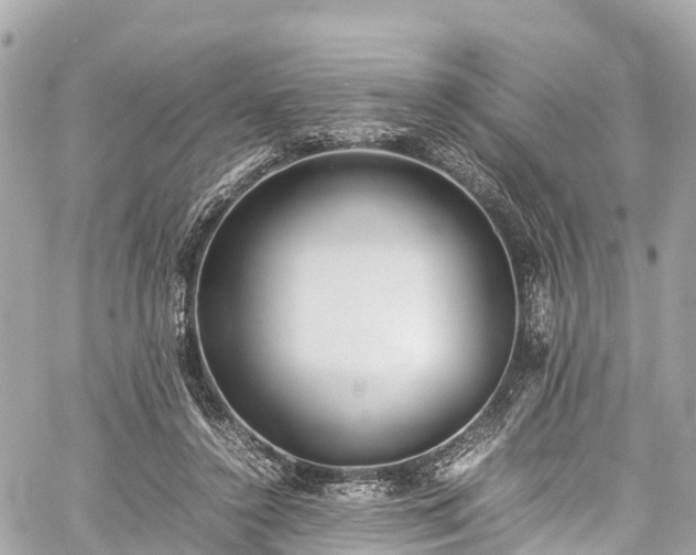 X0000059830356200510241427