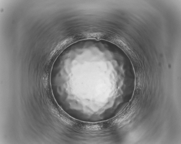 X0000059830357200510241427