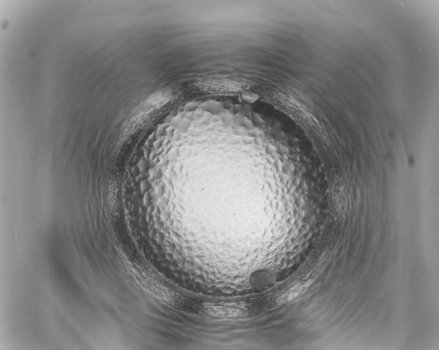 X0000059830359200510241427