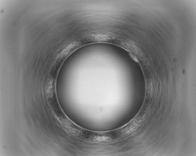 X0000059830360200510241427