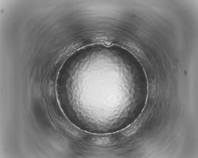 X0000059830361200510241427