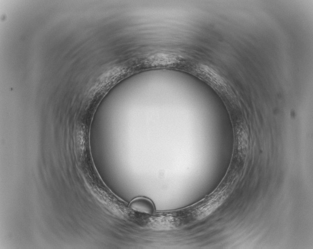 X0000059830362200510241427