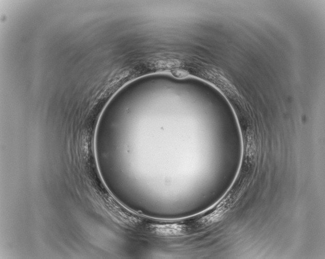 X0000059830363200510241427