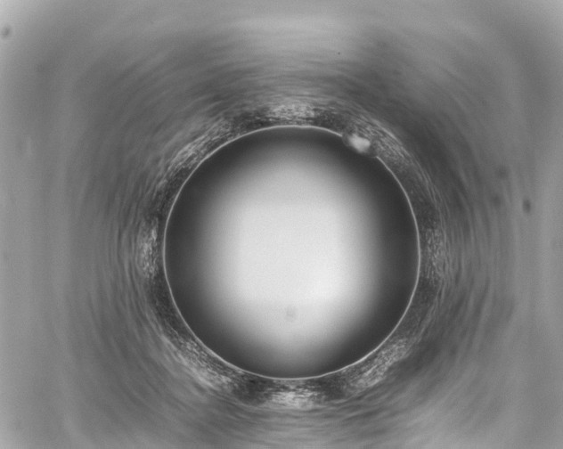 X0000059830364200510241427