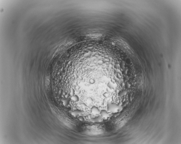 X0000059830365200510241427