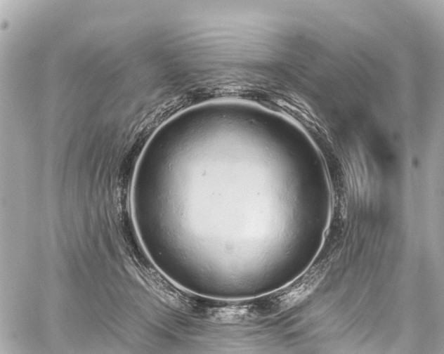 X0000059830366200510241427