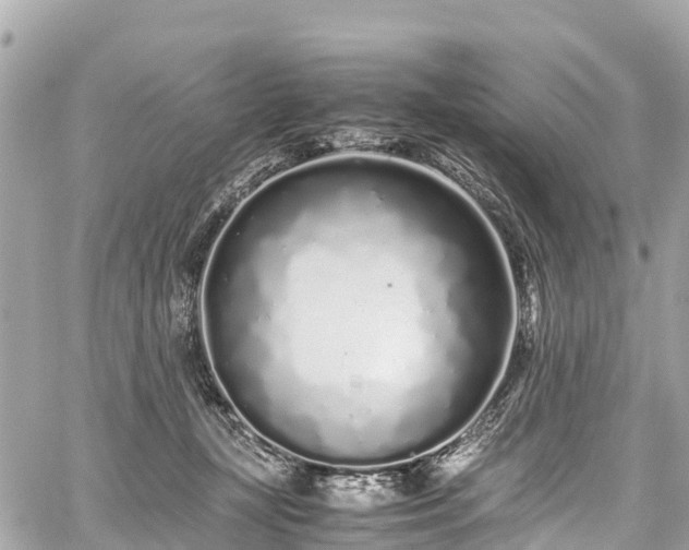 X0000059830367200510241427