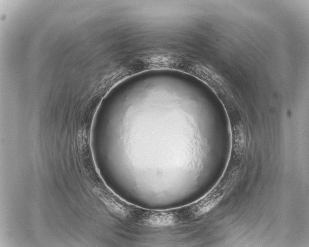 X0000059830369200510241427