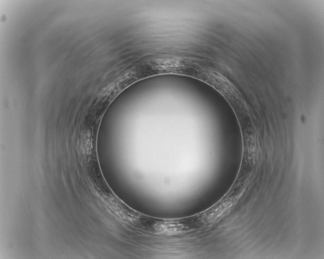 X0000059830372200510241427