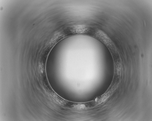 X0000059830374200510241427