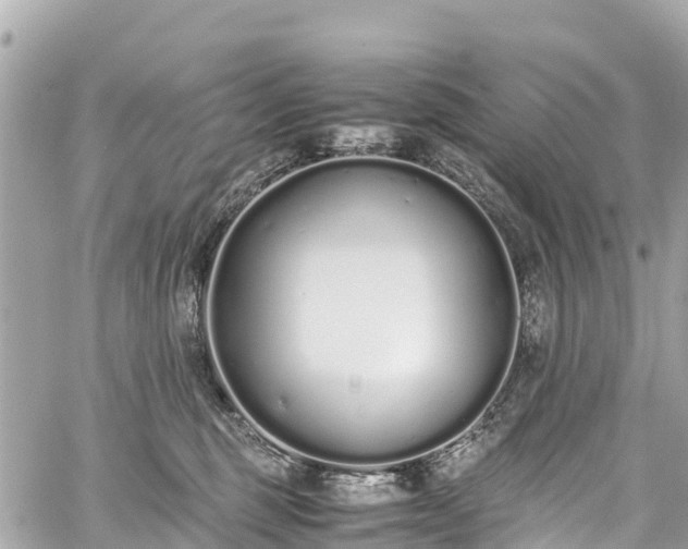 X0000059830375200510241427