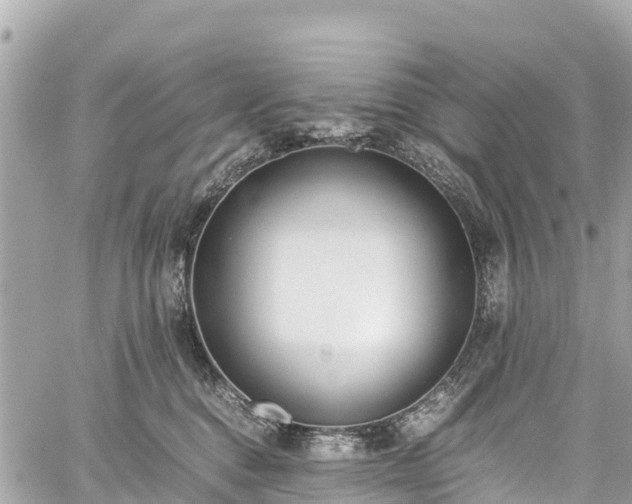 X0000059830376200510241427