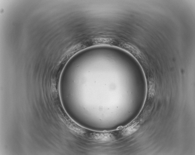 X0000059830377200510241427