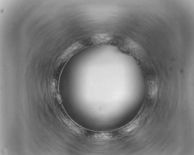 X0000059830378200510241427