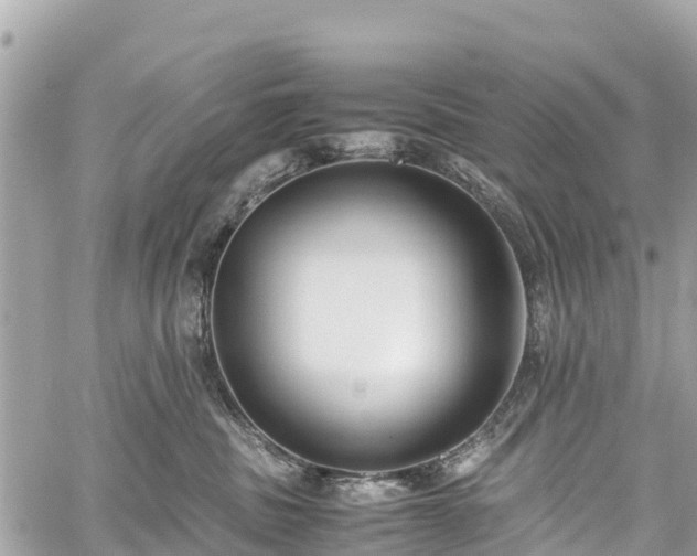 X0000059830379200510241427