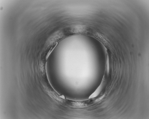 X0000059830380200510241427