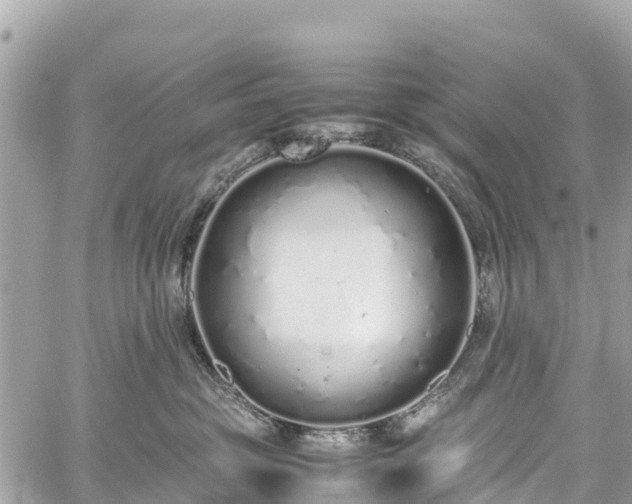 X0000059830381200510241427