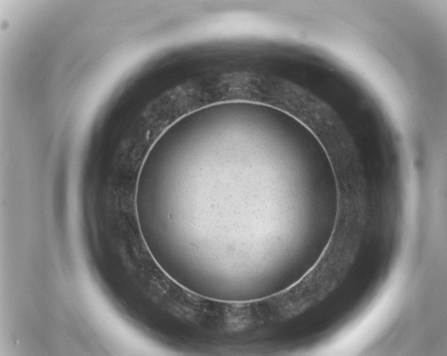 X0000059830382200510241427