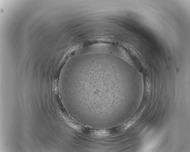 X0000059830383200510241427