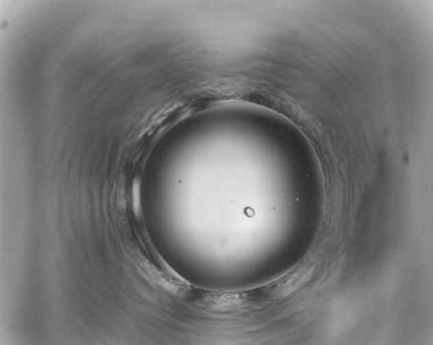 X0000059830384200510241427