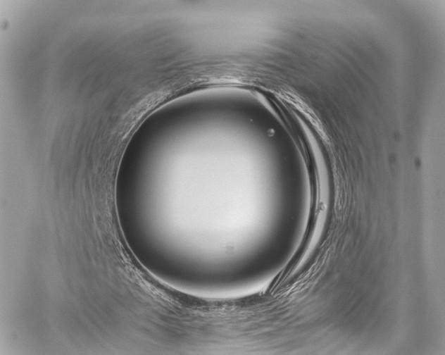 X0000059830385200510241426