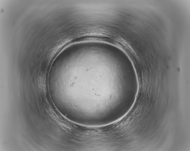 X0000059830386200510241426