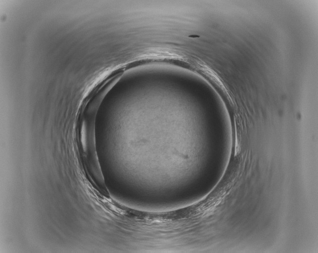 X0000059830387200510241426