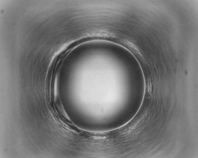 X0000059830388200510241426