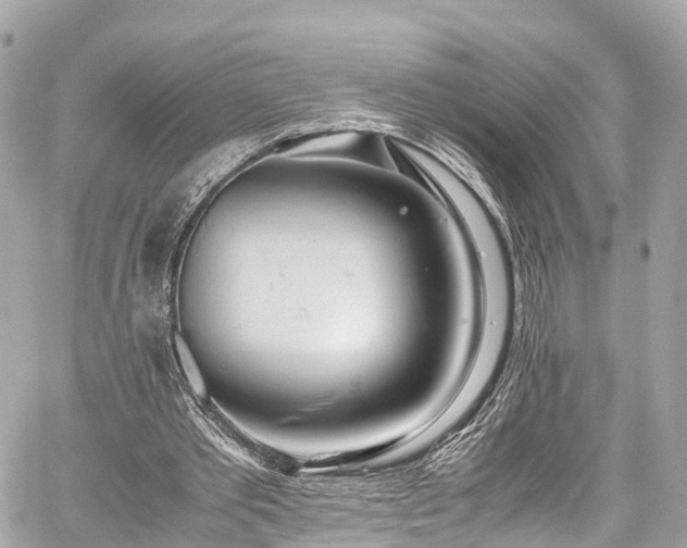 X0000059830389200510241426