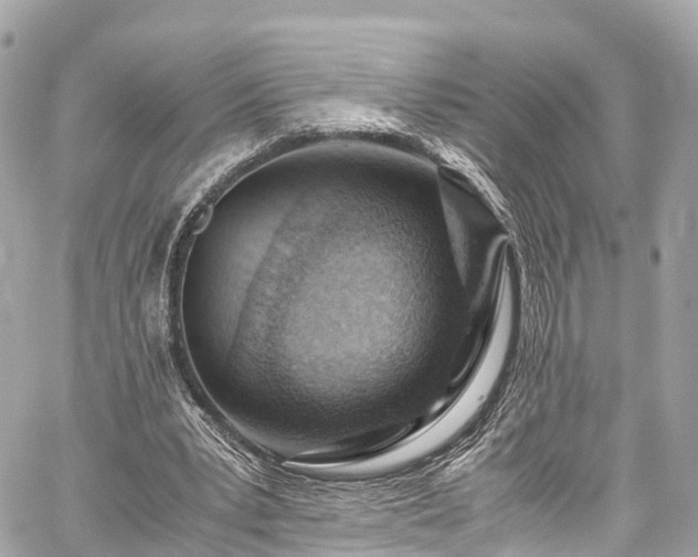 X0000059830391200510241426