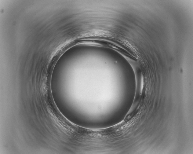 X0000059830392200510241426