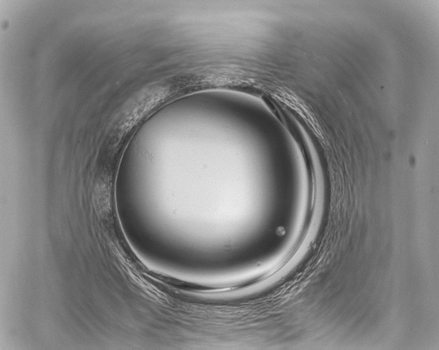 X0000059830393200510241426