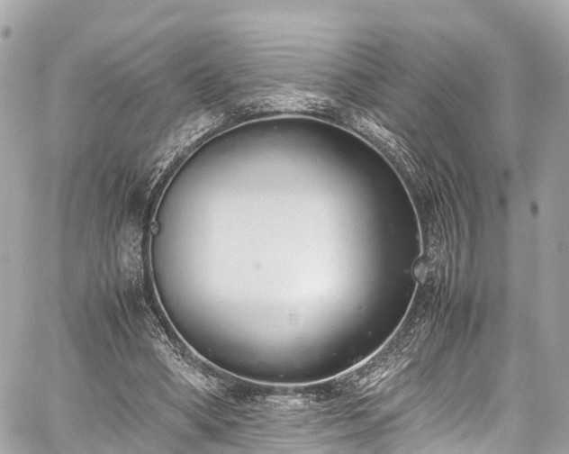 X0000059830394200510241426