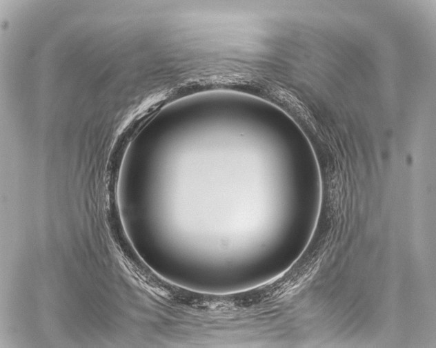 X0000059830395200510241426